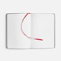 Ежедневник Nebraska Flex, недатированный, красный с серебристым