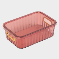 Контейнер для хранения с крышкой «Грани», 25,5×18×8 см, цвет МИКС Контейнер для хранения с крышкой «Грани», 25,5×18×8 см, цвет МИКС