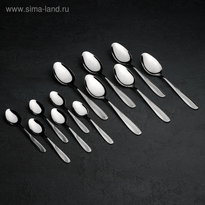 Набор столовых приборов из нержавеющей стали &laquo;Водопад&raquo;, 24 предмета, на подставке, цвет серебряный