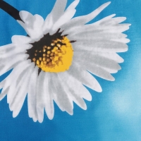 Чехол для гладильной доски Nika, 130&times;52 см, рисунок МИКС