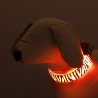 Ошейник с подсветкой Тигр 3 режима свечения размер S, ОШ 22-40 х 2,5 см оранжевый Ошейник с подсветкой Тигр 3 режима свечения размер S, ОШ 22-40 х 2,5 см оранжевый