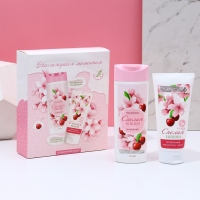 Подарочный набор косметики &laquo;Наслаждайся моментом&raquo;, гель для душа 250 мл и крем для тела 200 мл, ЧИСТОЕ СЧАСТЬЕ