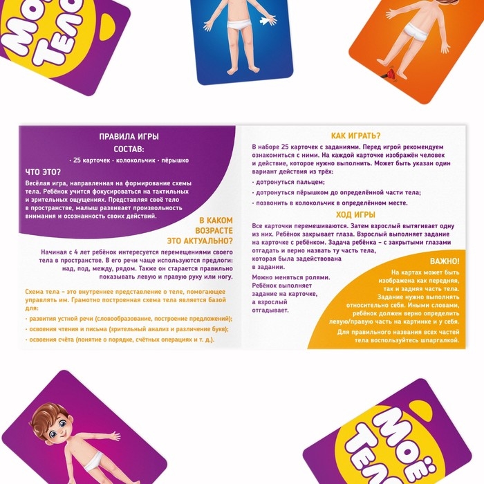 Настольная развивающая игра &laquo;Моё тело&raquo;, 25 карт, 4+