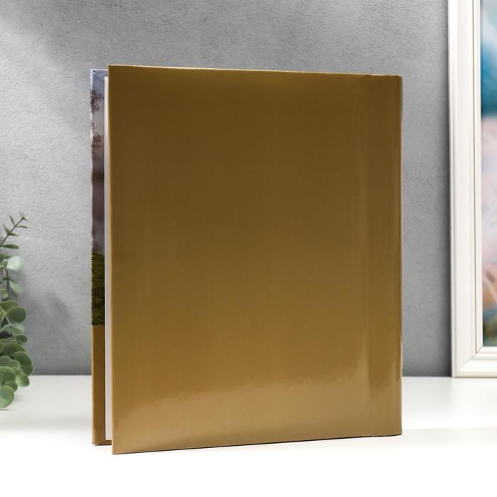 Фотоальбом  магнитный на 20 листов "Ландшафт-5"  МИКС