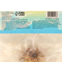 Рябчик императорский (Фритиллярия) Рубра, р-р 18/21, 1 шт, Осень 2024 Рябчик императорский (Фритиллярия) Рубра, р-р 18/21, 1 шт, Осень 2024