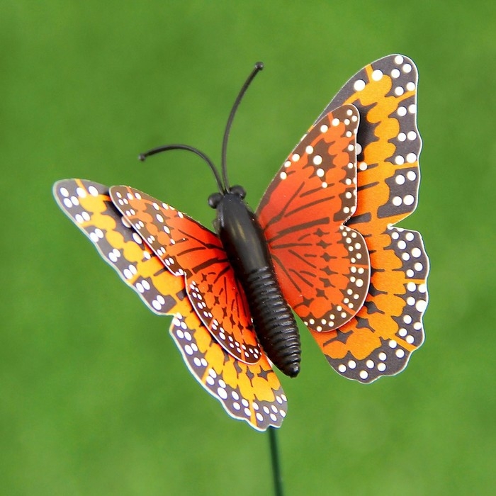 Штекер Штекер "Бабочка Дельфиус" 25см, набор 15шт, МИКС