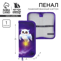Пенал школьный 1 секция 90 х 190 лам.карт ПО-03 &laquo;1 сентября: Совушка&raquo;