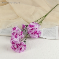 Цветы искусственные "Гвоздички" 8х67 см, бело-сиреневый Цветы искусственные "Гвоздички" 8х67 см, бело-сиреневый