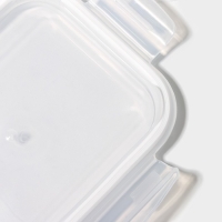 Контейнер для еды из жаропрочного стекла Доляна &laquo;Данте&raquo;, прямоугольный, 640 мл, 17&times;12,5&times;6,3 см