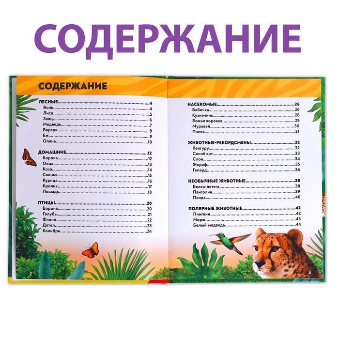 Фотоэнциклопедия для детей &laquo;В мире животных&raquo;, 48 стр.