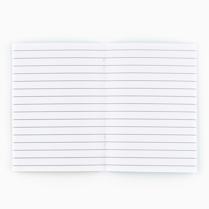 Подарочный набор на выпускной в папке 7 предметов «Выпускник детского сада» Подарочный набор на выпускной в папке 7 предметов «Выпускник детского сада»