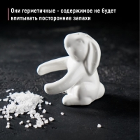 Набор для специй Доляна &laquo;Зайка&raquo;, 2 предмета: солонка 50 мл, перечница 40 мл, цвет белый