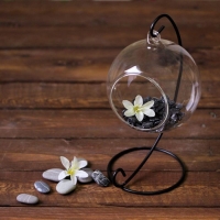 Флорариум "Сфера" на подвесе, d отв-я 6 см 23х13х11 см Флорариум "Сфера" на подвесе, d отв-я 6 см 23х13х11 см