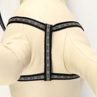 Комплект светоотражающий "Косточки", поводок 1 х 120 см (ОШ 22-34 см ,ОГ 22-34 см) чёрный Комплект светоотражающий "Косточки", поводок 1 х 120 см (ОШ 22-34 см ,ОГ 22-34 см) чёрный