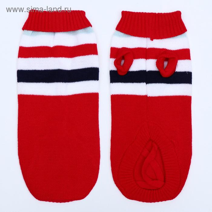 Свитер, размер 14 (ДС 40-55, ОШ 20-35, ОГ 36-51 см), микс расцветок