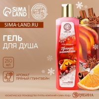 Гель для душа, 250 мл, аромат пряного глинтвейна, Новый Год