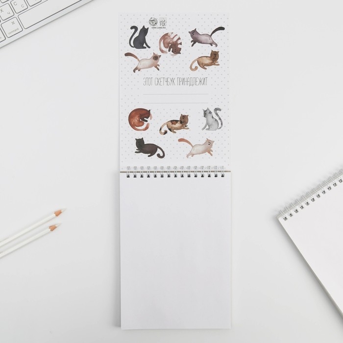 Скетчбук &laquo;Кот&raquo; А5, 40 л, 100 г/м