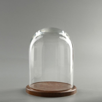 Стеклянный купол-клош на деревянной подставке "Венсан - 1", 20х15 см, коричневый Стеклянный купол-клош на деревянной подставке "Венсан - 1", 20х15 см, коричневый