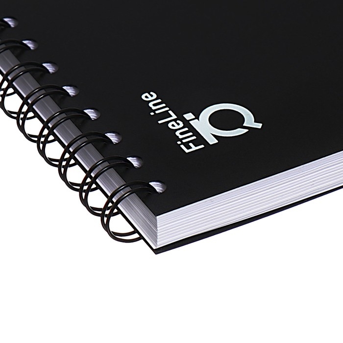 Тетрадь B5 на спирали, 100 листов в клетку, ErichKrause IQ FineLine Classic, пластиковая обложка, блок офсет 100% белизна, чёрная Тетрадь B5 на спирали, 100 листов в клетку, ErichKrause IQ FineLine Classic, пластиковая обложка, блок офсет 100% белизна, чёрная