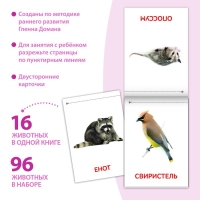 Книги набор &laquo;Карточки Домана. Животные материков&raquo;, 6 шт. по 20 стр.