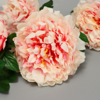 Цветы искусственные "Пион кустовой" 5 бутонов, 15х110 см, кремовый Цветы искусственные "Пион кустовой" 5 бутонов, 15х110 см, кремовый