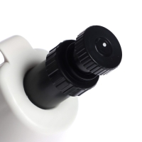 Игровой набор &laquo;Лабораторный микроскоп&raquo;, с цветными фильтрами, увеличение x40, x100, x400