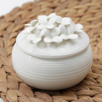 Банка для хранения сыпучих продуктов «Цветы», 180 мл, керамическая, цвет белый Банка для хранения сыпучих продуктов «Цветы», 180 мл, керамическая, цвет белый