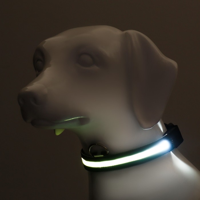 Ошейник с подсветкой размер М, ОШ 40-48 х 2,5 см, 3 режима свечения чёрный Ошейник с подсветкой размер М, ОШ 40-48 х 2,5 см, 3 режима свечения чёрный