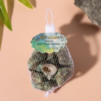 Ракушки природные декоративные "Раковина зелёная" набор 100 гр