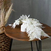 Сухоцвет &laquo;Папоротник&raquo;, белый, 10 шт. в упаковке