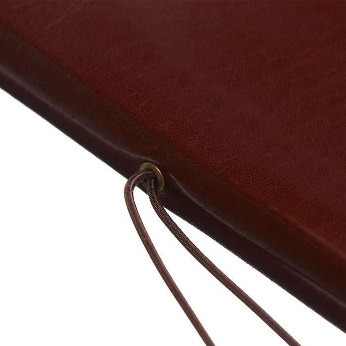 Ежедневник датированный 2025, A5 168 листов, deVENTE. Saltos, мягкая обложка кожзам, перфорация, ляссе, блок 70, коричневый