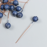 Декор для творчества "Ягодка - голубика" синий d=1 см набор 30шт Декор для творчества "Ягодка - голубика" синий d=1 см набор 30шт