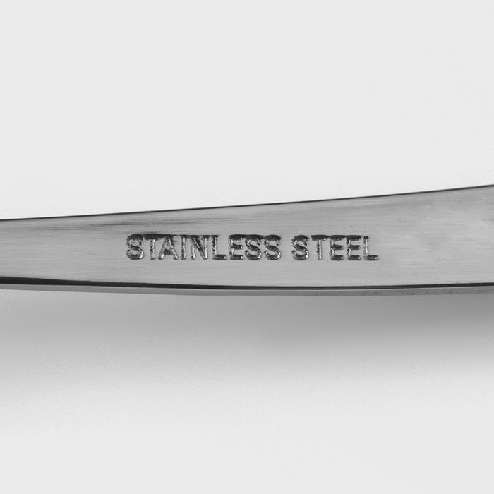 Ложка чайная из нержавеющей стали Доляна &laquo;Верона&raquo;, длина 14,8 см, толщина 1,8 мм, цвет серебряный