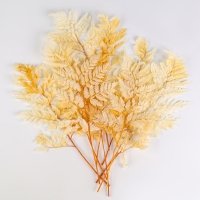 Сухоцвет &laquo;Папоротник&raquo;, белый, 10 шт. в упаковке