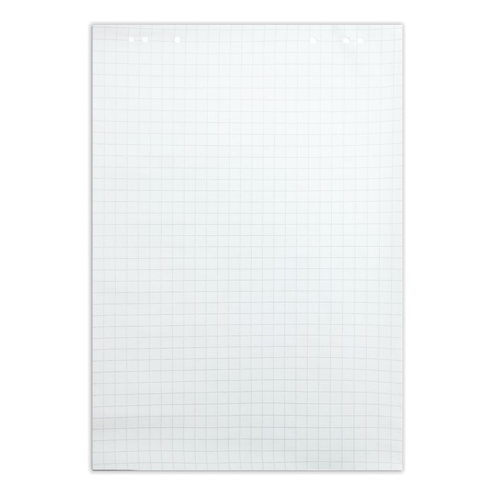 Блокнот для флипчарта в клетку Calligrata, 67.5 х 98 см, 20 листов, 80 г/м2, белизна 92%