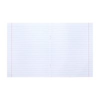 Тетрадь предметная "Тетрадочка", 48 листов в линию "Литература", обложка мелованный картон, выборочный лак, со справочным материалом