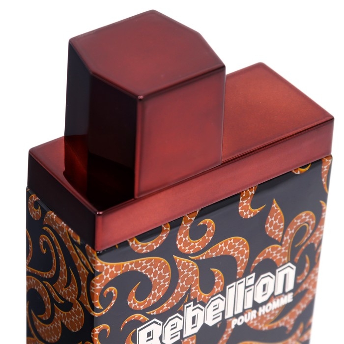 Туалетная вода мужская Chris Adams Rebellion, 100 мл Туалетная вода мужская Chris Adams Rebellion, 100 мл