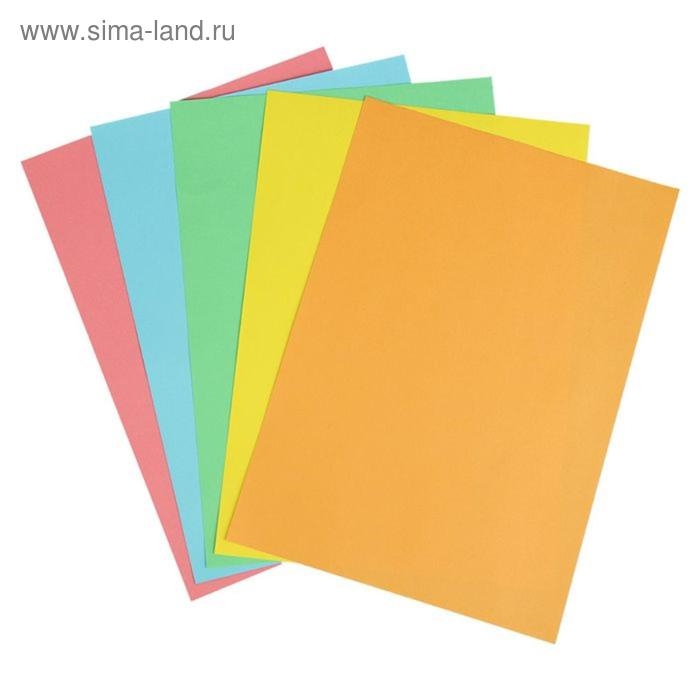 Бумага цветная А5, 100 листов Calligrata Интенсив, 5 цветов, 80 г/м² Бумага цветная А5, 100 листов Calligrata Интенсив, 5 цветов, 80 г/м²