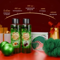 Новогодний подарочный набор косметики «Зимнее путешествие» для душа и ванны, зеленая серия Новогодний подарочный набор косметики «Зимнее путешествие» для душа и ванны, зеленая серия