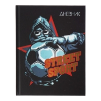 Дневник универсальный для 1-11 классов, Street Sport, твердая обложка 7БЦ, матовая ламинация, тиснение фольгой, 40 листов Дневник универсальный для 1-11 классов, Street Sport, твердая обложка 7БЦ, матовая ламинация, тиснение фольгой, 40 листов