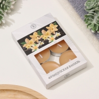 Набор чайных свечей ароматизированных "Французская ваниль" в подарочной коробке, 6 шт Набор чайных свечей ароматизированных "Французская ваниль" в подарочной коробке, 6 шт