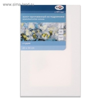 Холст на подрамнике, хлопок 100%, 20 х 30 х 1,8 см, акриловый грунт, мелкозернистый, 280 г/м2, "Студия" Холст на подрамнике, хлопок 100%, 20 х 30 х 1,8 см, акриловый грунт, мелкозернистый, 280 г/м2, "Студия"