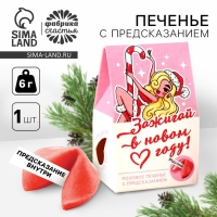 Печенье с предсказанием в коробке-домике &laquo;Зажигай в Новом году&raquo;, 1 шт