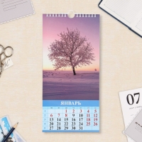 Календарь на ригеле "Волшебный мир природы" 2025 год, 16,5 х 34 см Календарь на ригеле "Волшебный мир природы" 2025 год, 16,5 х 34 см