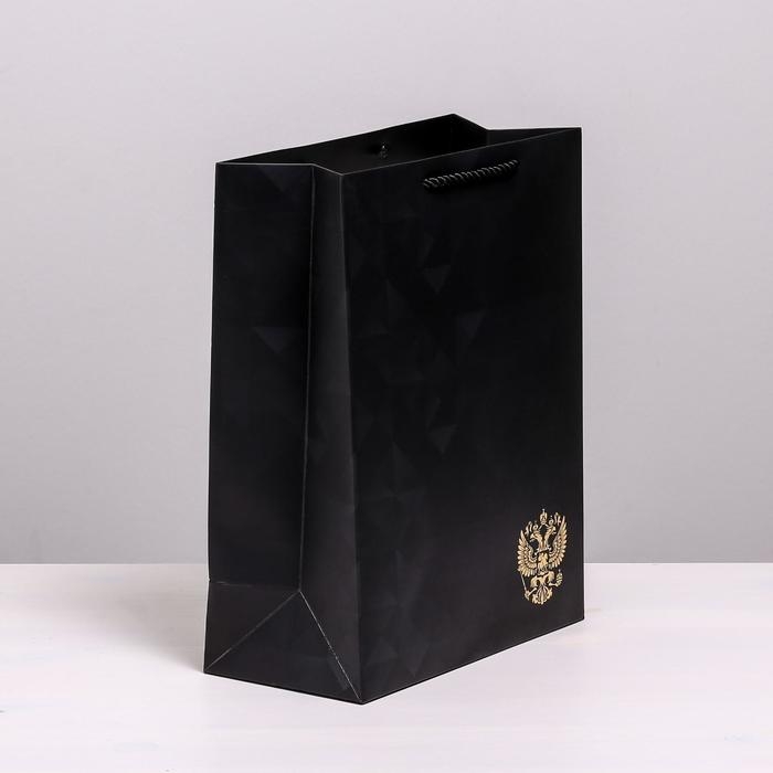 Пакет подарочный вертикальный, упаковка, &laquo;Отечество наше&raquo;, 25 х 32 х 12 см