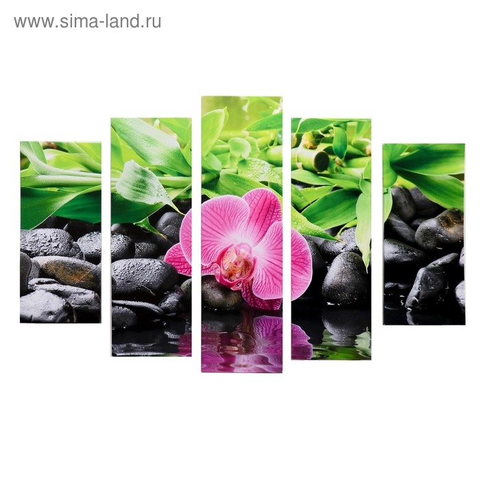 Модульная картина "Орхидея отражение" (2-23х52; 2-24х70; 1-24х80) 120х80см