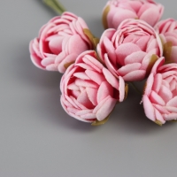 Декор для творчества "Пионы" бело-розовый (1 набор=1 букет) в букете 6 шт 2,5х10,5 см