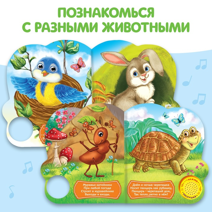 Музыкальная книга «Кто где живёт», 14,4 х 17 см, 10 стр. Музыкальная книга «Кто где живёт», 14,4 х 17 см, 10 стр.