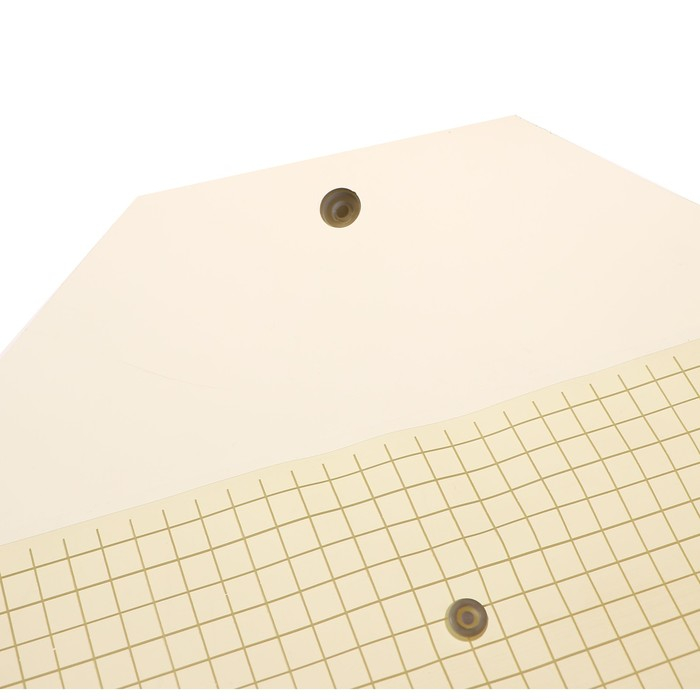 Набор папок-конвертов на кнопке А4, 120 мкр, 20 штук, клетка тонированная жёлтая Набор папок-конвертов на кнопке А4, 120 мкр, 20 штук, клетка тонированная жёлтая