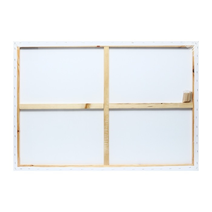 Холст на подрамнике 1,6х70х100 см, хлопок 100%, акриловый грунт, среднезернистый, 380г/м² Холст на подрамнике 1,6х70х100 см, хлопок 100%, акриловый грунт, среднезернистый, 380г/м²